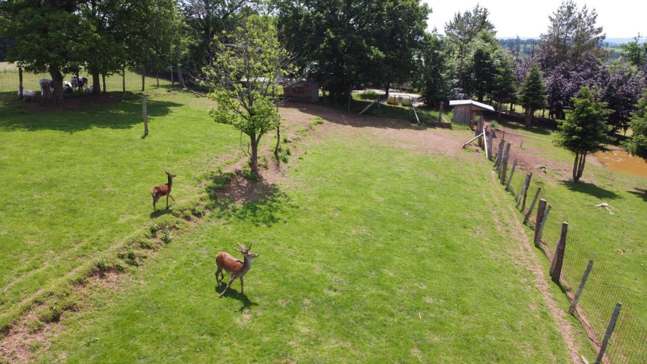 Brochepierre 28 Pers- Vue Exceptionnelle - Malmedy Villa Eksteriør bilde